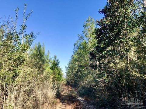 lot17 SW Bashi Rd, Pace, FL 32571 photo 16