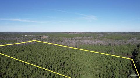 lot17 SW Bashi Rd, Pace, FL 32571 photo 3