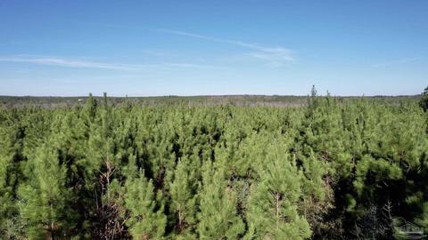 lot17 SW Bashi Rd, Pace, FL 32571 photo 8
