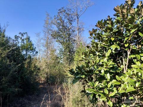 lot17 SW Bashi Rd, Pace, FL 32571 photo 23