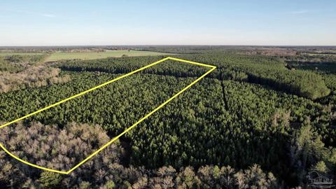 lot17 SW Bashi Rd, Pace, FL 32571 photo 4