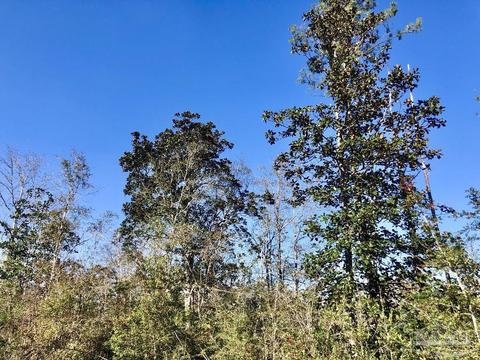 lot17 SW Bashi Rd, Pace, FL 32571 photo 26