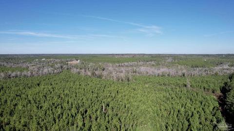 lot17 SW Bashi Rd, Pace, FL 32571 photo 11