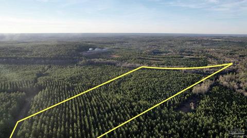 lot17 SW Bashi Rd, Pace, FL 32571 photo 2