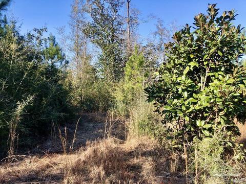 lot17 SW Bashi Rd, Pace, FL 32571 photo 24