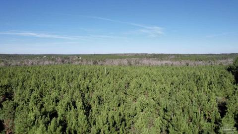 lot17 SW Bashi Rd, Pace, FL 32571 photo 10