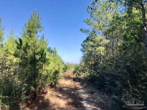 lot17 SW Bashi Rd, Pace, FL 32571 photo 17