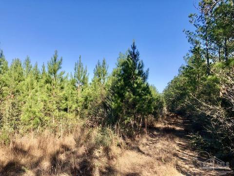 lot17 SW Bashi Rd, Pace, FL 32571 photo 15