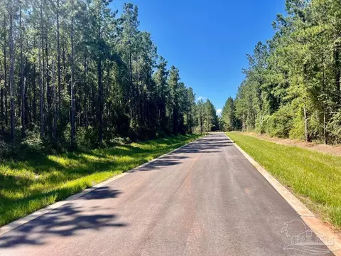 lot21 SW Bashi Rd, Pace, FL 32571 photo 10