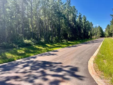 lot21 SW Bashi Rd, Pace, FL 32571 photo 3