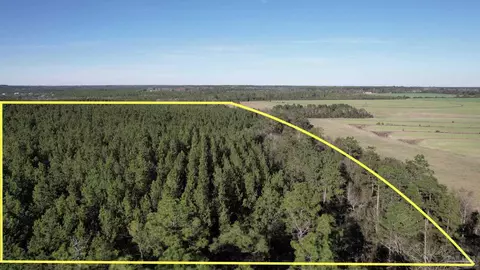 lot21 SW Bashi Rd, Pace, FL 32571 photo 8