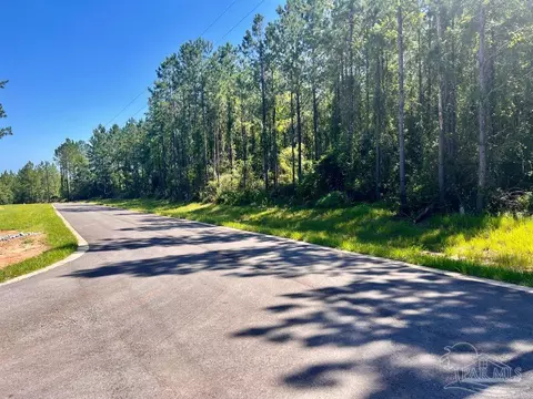 lot21 SW Bashi Rd, Pace, FL 32571 photo 9