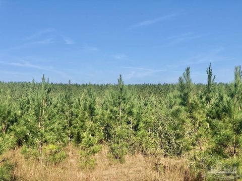 lot25 SW Bashi Rd, Pace, FL 32571 photo 9