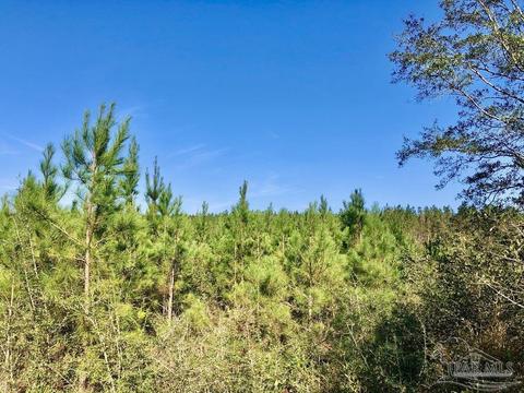 lot25 SW Bashi Rd, Pace, FL 32571 photo 20