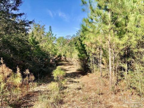 lot25 SW Bashi Rd, Pace, FL 32571 photo 25