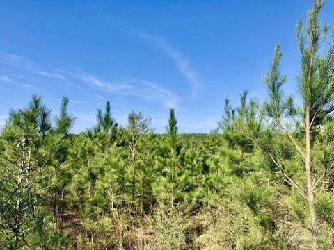 lot25 SW Bashi Rd, Pace, FL 32571 photo 7