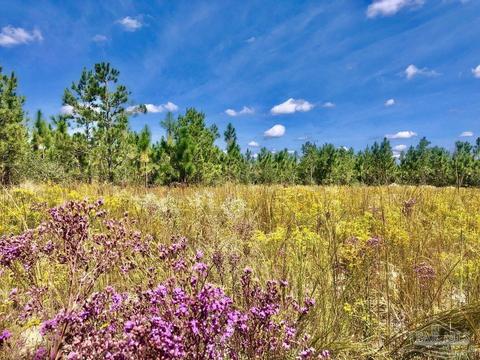 lot25 SW Bashi Rd, Pace, FL 32571 photo 17
