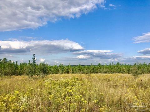 lot25 SW Bashi Rd, Pace, FL 32571 photo 16