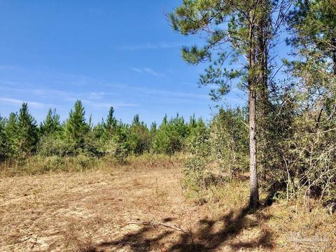 lot25 SW Bashi Rd, Pace, FL 32571 photo 22