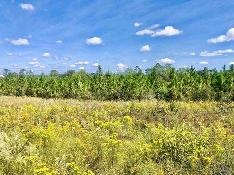 lot25 SW Bashi Rd, Pace, FL 32571 photo 19
