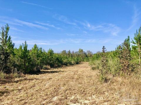 lot25 SW Bashi Rd, Pace, FL 32571 photo 10