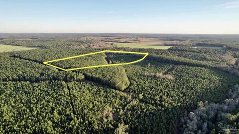 lot25 SW Bashi Rd, Pace, FL 32571 photo 4