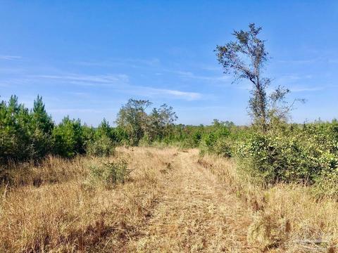 lot25 SW Bashi Rd, Pace, FL 32571 photo 12