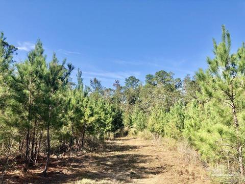 lot25 SW Bashi Rd, Pace, FL 32571 photo 26