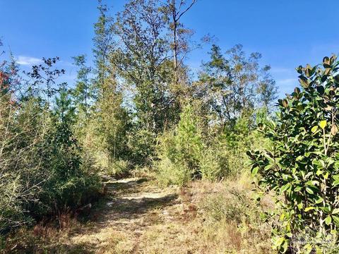 lot25 SW Bashi Rd, Pace, FL 32571 photo 13