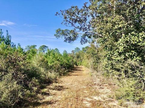 lot25 SW Bashi Rd, Pace, FL 32571 photo 24