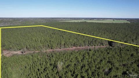 lot25 SW Bashi Rd, Pace, FL 32571 photo 3