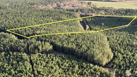 lot25 SW Bashi Rd, Pace, FL 32571 photo 2