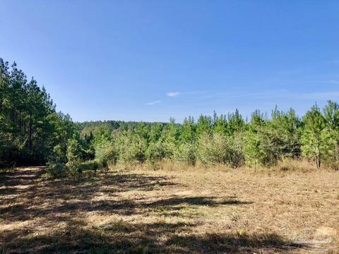 lot25 SW Bashi Rd, Pace, FL 32571 photo 11