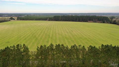 0 Russell Elliott Rd, Milton, FL 32570