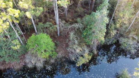 1069 Oyster Bay Dr, Milton, FL 32583 photo 6