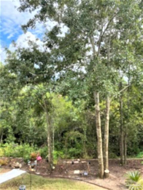 2604 Caldwell Cir, Pace, FL 32571 photo 32
