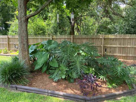 3437 Ashmore Ln, Pace, FL 32571 photo 11