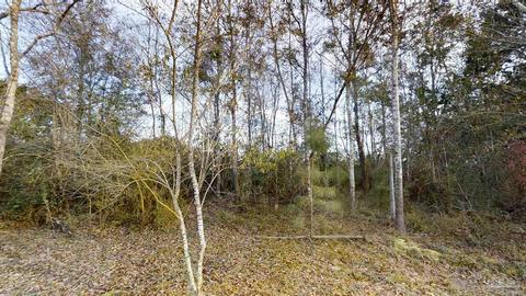 5540 Marthas Mill Way, Pace, FL 32571 photo 31