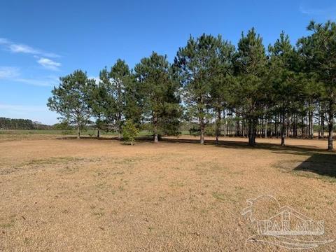 5160 Hwy 97, Mcdavid, FL 32568 photo 27