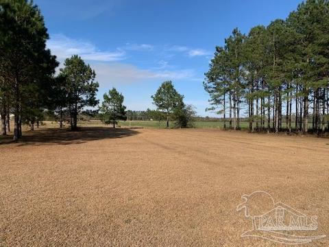 5160 Hwy 97, Mcdavid, FL 32568 photo 29