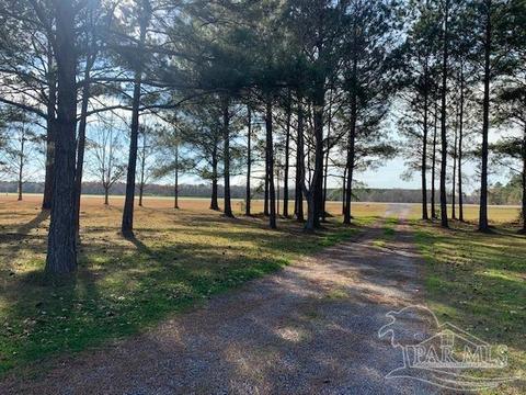 5160 Hwy 97, Mcdavid, FL 32568 photo 2