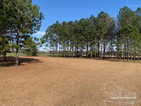 5160 Hwy 97, Mcdavid, FL 32568 photo 28