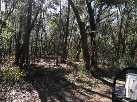 3987 Ranch Rd, Pace, FL 32571 photo 1