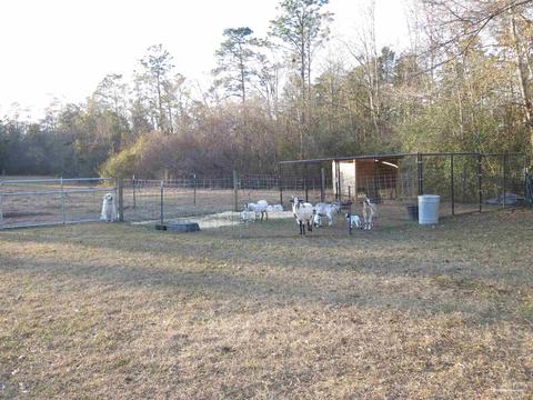 2323 Handy Rd, Cantonment, FL 32533 photo 39