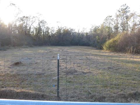 2323 Handy Rd, Cantonment, FL 32533 photo 41