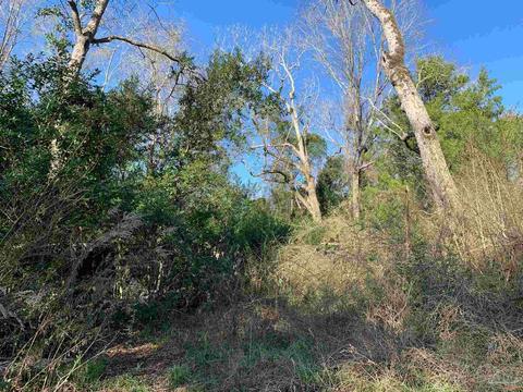 6067 Enfinger Rd, Pace, FL 32571 photo 17