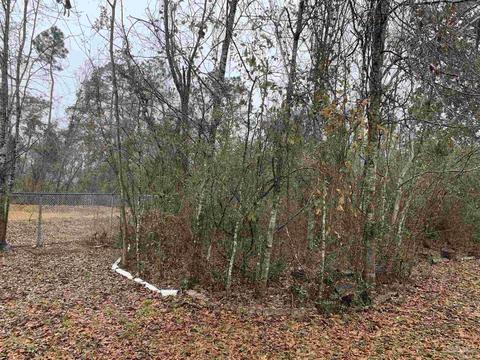 607 Sweetleaf Ct, Cantonment, FL 32533 photo 39