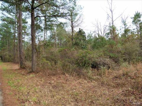 200 E Bogia Rd, Mcdavid, FL 32568 photo 7