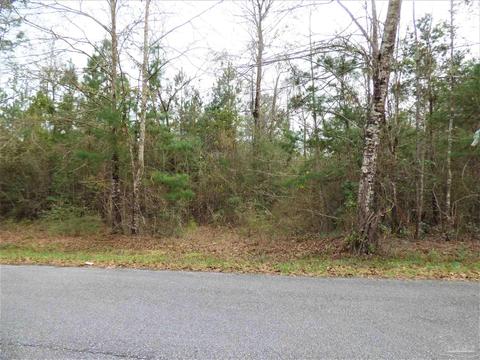 200 E Bogia Rd, Mcdavid, FL 32568 photo 1