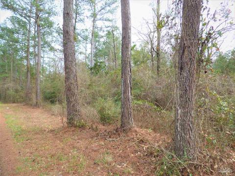 200 E Bogia Rd, Mcdavid, FL 32568 photo 8